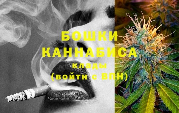 бошки Бронницы