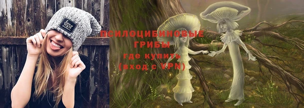 бошки Бронницы